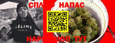 твердый Будённовск